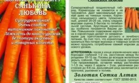 морковь Санькина любовь