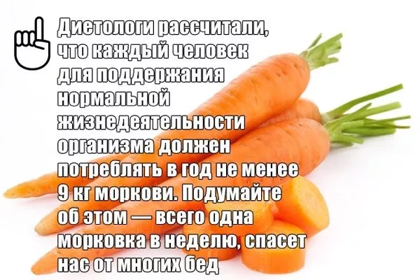 польза моркови