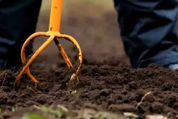 осенняя перекопка грядок