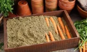 хранение моркови