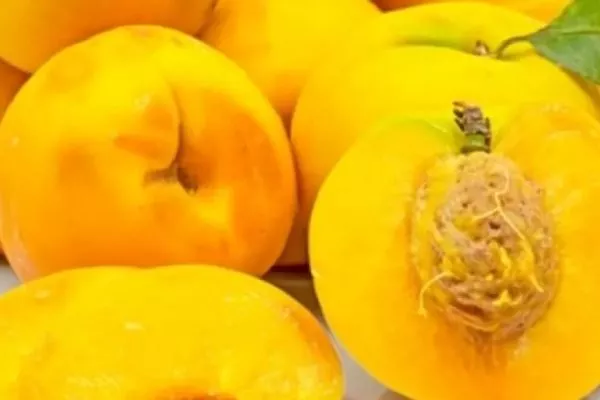 Манговый нектарин