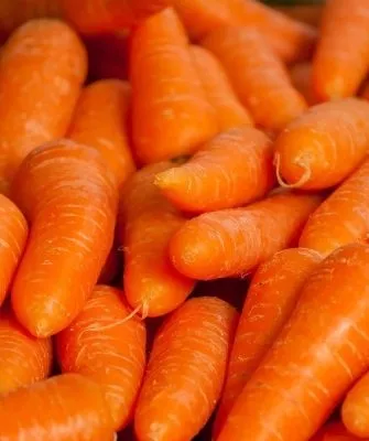 сочная морковь