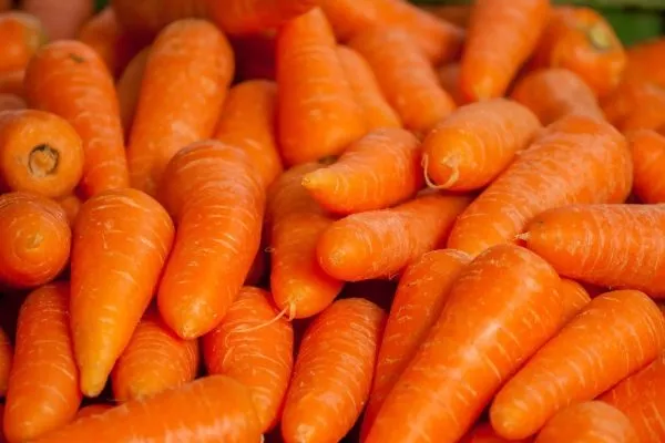 сочная морковь