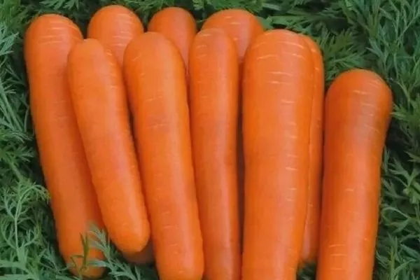 морковь Детская сладкая