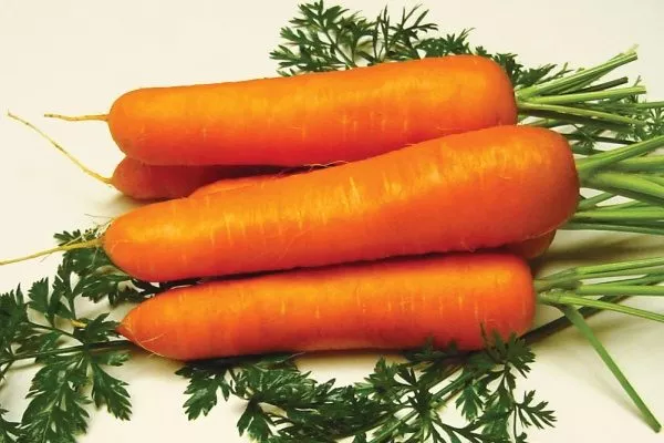 морковь Сладкоежка