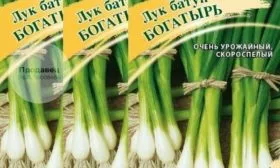 сортовой лук Богатырь