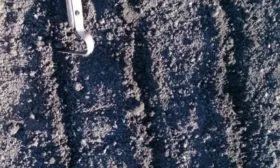 посадка лука семенами в открытый грунт