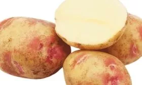 Описание клубней