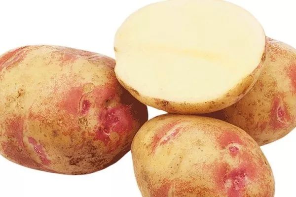 Описание клубней