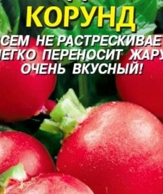 Редис Корунд