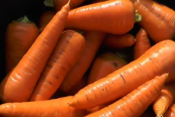 описание моркови цукат