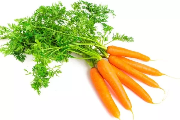 пучковая морковь