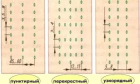 схема посева моркови