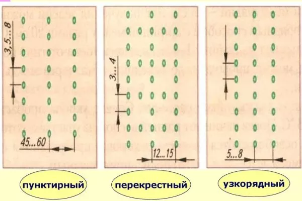 схема посева моркови