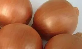 внешний вид луковицы