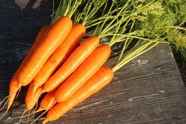 Морковь сорта Любимая