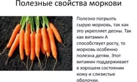 польза моркови
