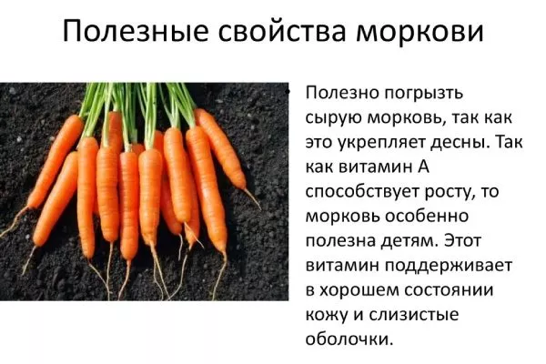 польза моркови