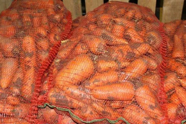 лёжкость моркови