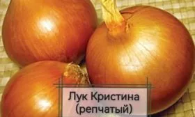 Лук Кристина