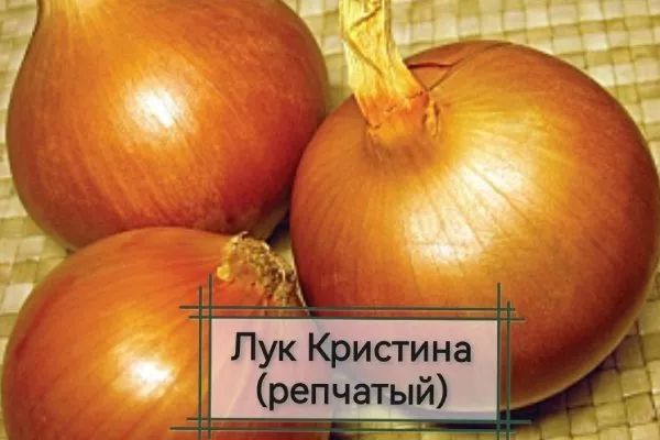 Лук Кристина