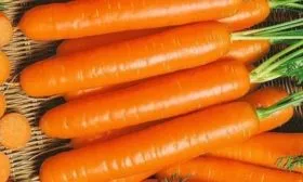 внешний вид корнеплода