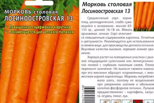 морковь Лосиноостровская 13