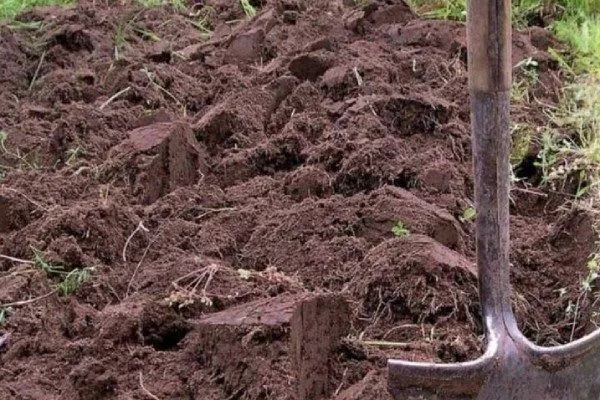 перекопка участка