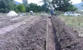 подготовка участка под малинник