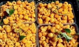 хранение малины жёлтой