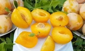 польза жёлтой сливы