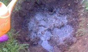 полив посадочной ямы