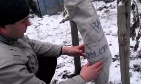 Подготовка сливы к зимнему периоду