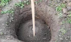 яма для посадки сливы