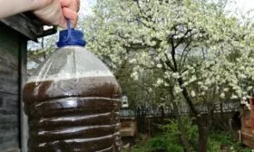 удобрение сливы