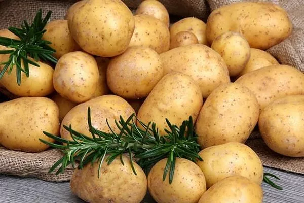 картофель Азарт