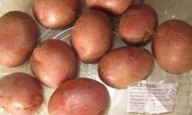 картофель Ред Фэнтези