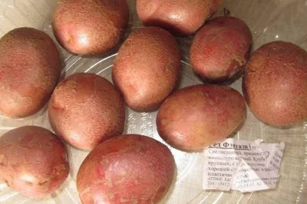 картофель Ред Фэнтези