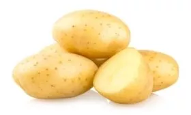 картофель сорта Чароит