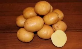 картофель сорта Гулливер