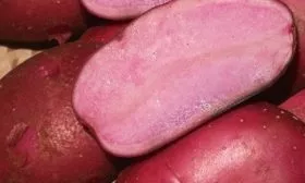 Картофель Сюрприз