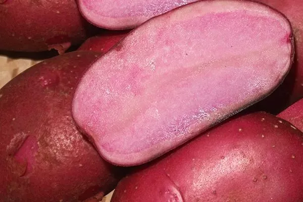 Картофель Сюрприз