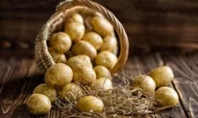 картофеля Брянский деликатес