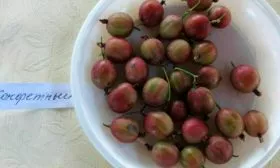 Крыжовник Конфетный вкус и применение