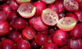 Крыжовник Конфетный ягоды