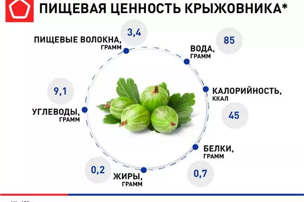 пищевая ценность крыжовника Янтарный