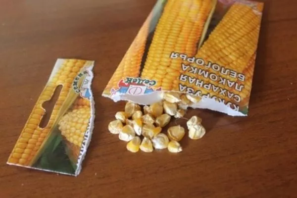 семена кукурузы Лакомка Белогорья