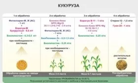 обработки кукурузы Лакомка Белогорья