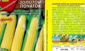 Кукуруза Золотой початок