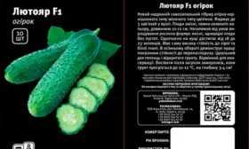 Плоды турецкого огурца